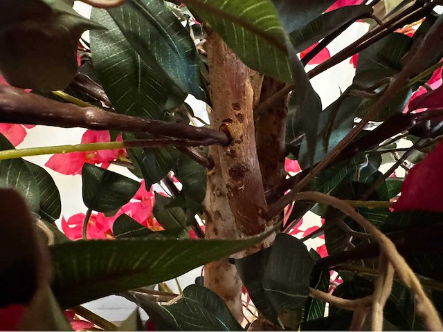 Bougainvillea kunstplant - afbeelding 6 van  8