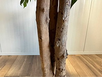 Bougainvillea kunstplant - afbeelding 2 van  4