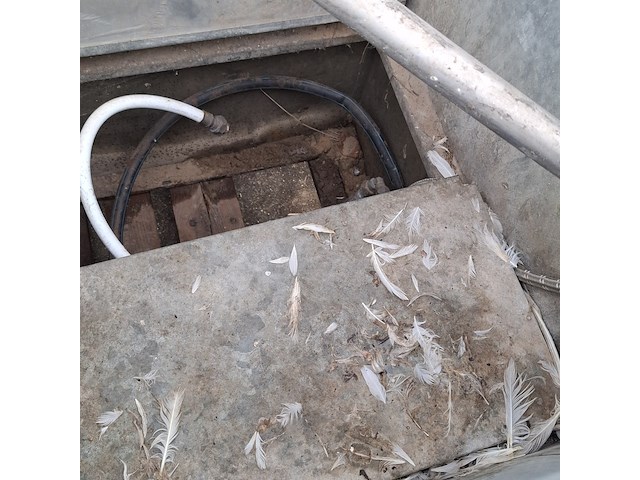 Bouw waterput - afbeelding 8 van  10