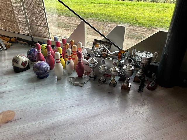 Bowling accessoires en sportprijzen - afbeelding 1 van  15