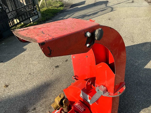 Boxer houthakselaar - afbeelding 2 van  19