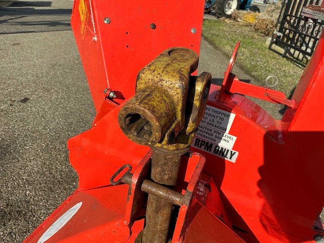 Boxer houthakselaar - afbeelding 3 van  19