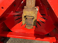 Boxer houthakselaar - afbeelding 5 van  19