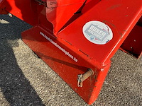 Boxer houthakselaar - afbeelding 6 van  19