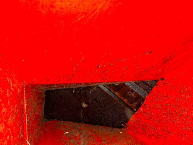 Boxer houthakselaar - afbeelding 8 van  19