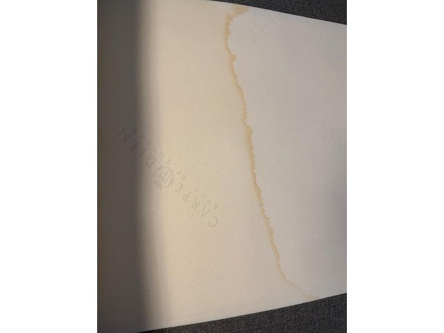 Boxspring, carpe diem, vinga - afbeelding 2 van  10