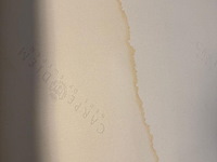 Boxspring, carpe diem, vinga - afbeelding 19 van  19