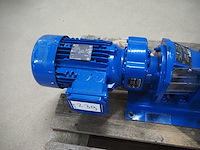 Bpi - afbeelding 5 van  8