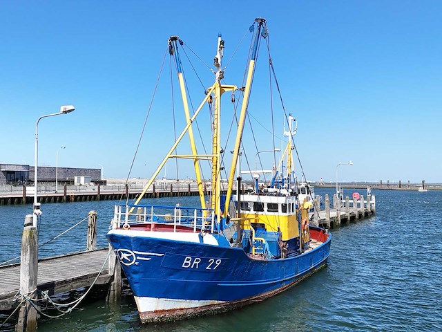 Br-29 “eendracht” garnalenkotter - afbeelding 8 van  20