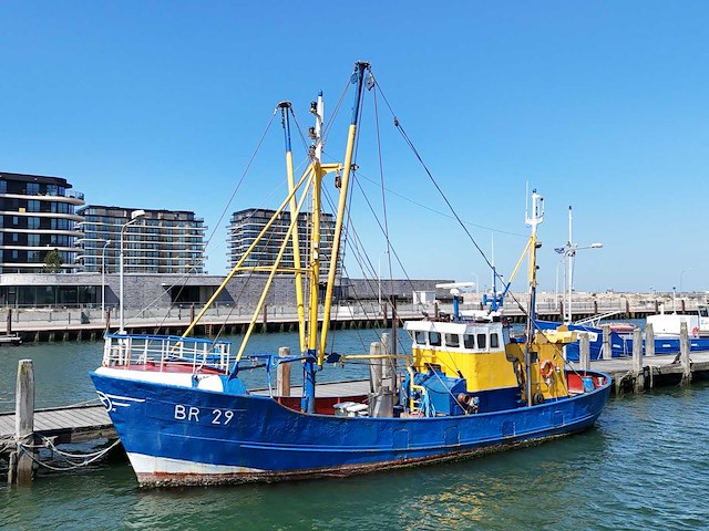 Br-29 “eendracht” garnalenkotter - afbeelding 9 van  20