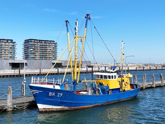 Br-29 “eendracht” garnalenkotter - afbeelding 4 van  33