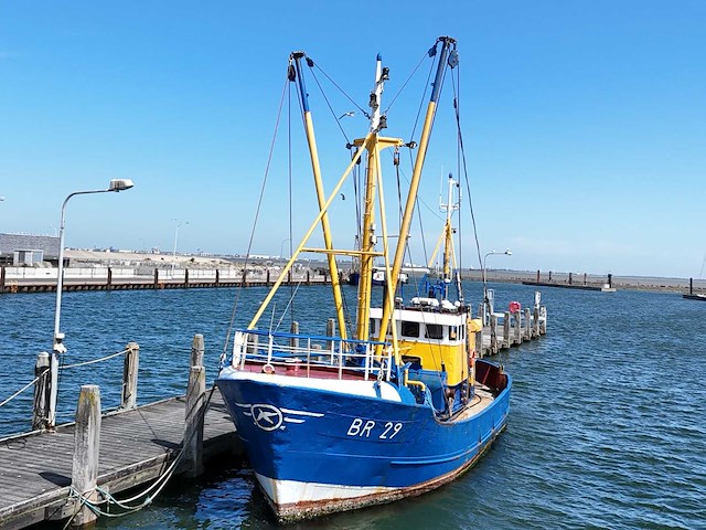 Br-29 “eendracht” garnalenkotter - afbeelding 10 van  33