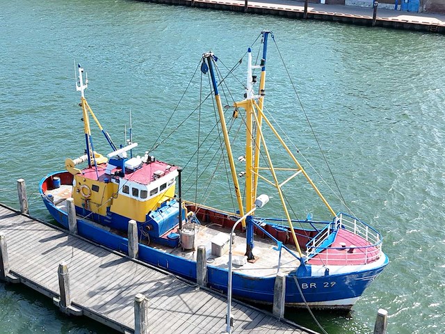 Br-29 “eendracht” garnalenkotter - afbeelding 14 van  33