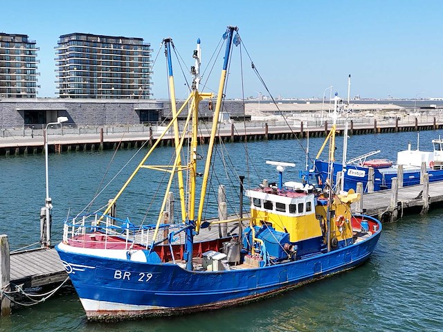 Br-29 “eendracht” garnalenkotter - afbeelding 10 van  111