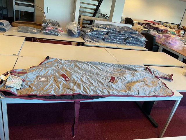 Br magnetic field therapy zomerdek - afbeelding 1 van  5