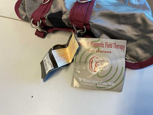 Br magnetic field therapy zomerdek - afbeelding 4 van  5