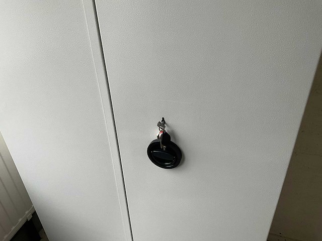 Brandkast 89x51x198cm - afbeelding 2 van  3