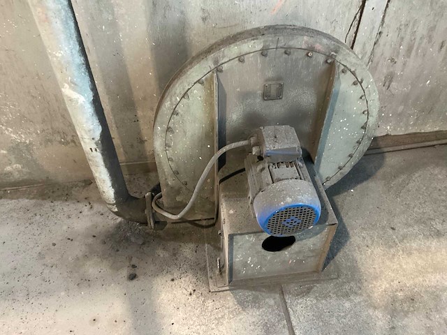 Braun-angott - gasgestookt - kerndroogoven - afbeelding 6 van  9