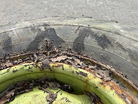 Bridgestone - band 445/95r25 16.00r25 (2x) - afbeelding 4 van  10