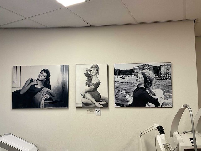 Brigitte bardot wanddecoratie (3x) - afbeelding 1 van  4