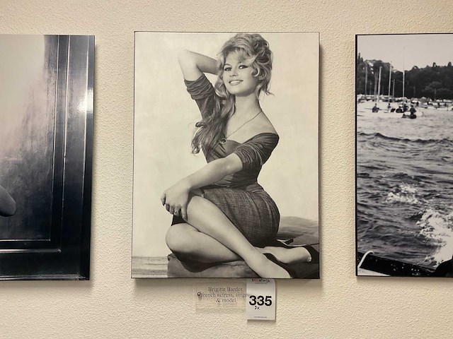 Brigitte bardot wanddecoratie (3x) - afbeelding 3 van  4