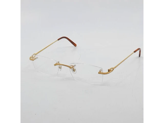 Bril montuur, cartier, ct00450 - afbeelding 1 van  13