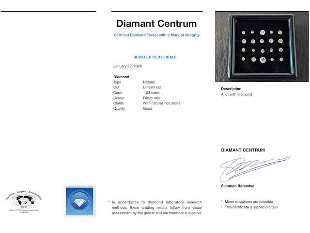 Briljant diamant 1.03 ct - afbeelding 3 van  3