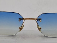 Brilmontuur, cartier, ct0120o - afbeelding 13 van  13