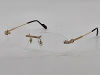 Brilmontuur, cartier, ct02840 - afbeelding 1 van  11