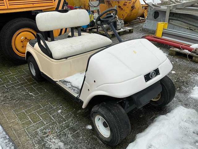 Bringo electrice golfkar - afbeelding 2 van  8