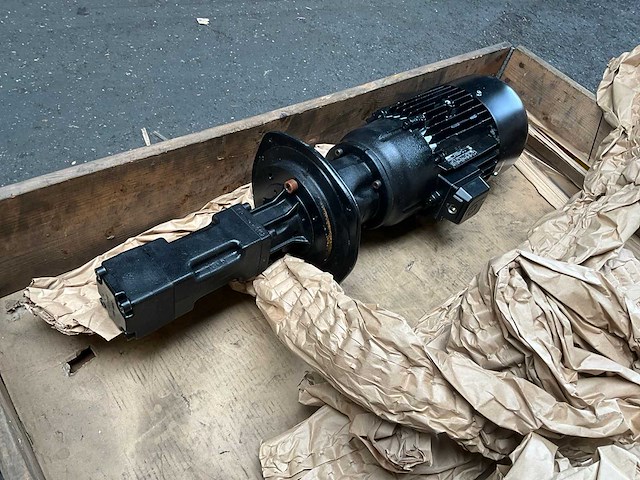 Brinkmann bfs250/50-z+058 pomp - afbeelding 1 van  2
