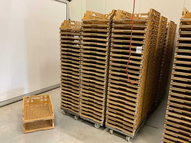 Broban broodkratten (300x) - afbeelding 2 van  3