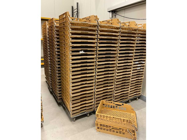 Broban broodkratten (400x) - afbeelding 4 van  5