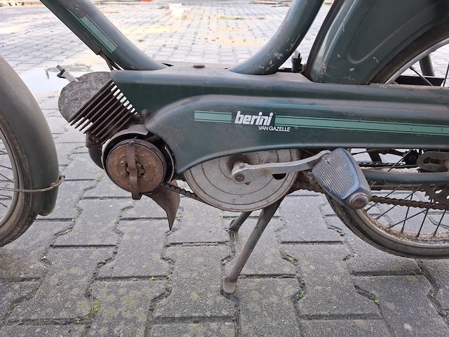 Brommer, berini (gazelle) - afbeelding 10 van  11