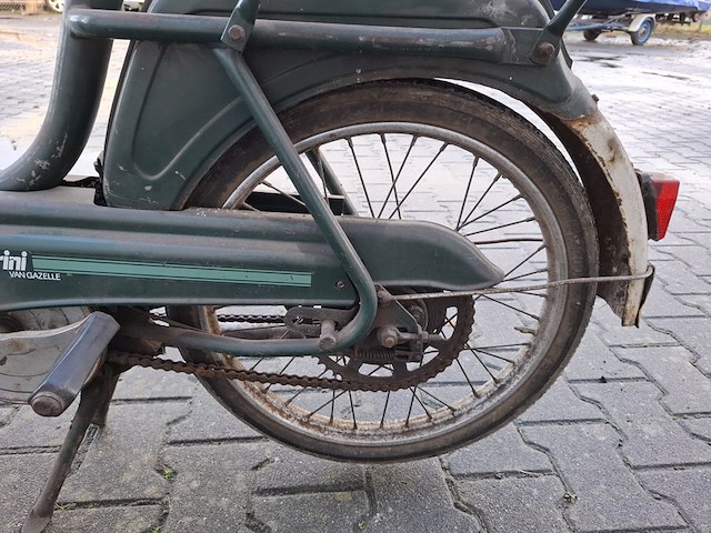 Brommer, berini (gazelle) - afbeelding 11 van  11