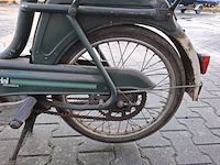 Brommer, berini (gazelle) - afbeelding 11 van  11