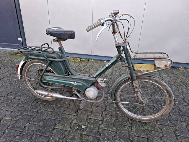 Brommer, berini (gazelle) - afbeelding 1 van  11