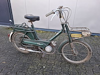 Brommer, berini (gazelle) - afbeelding 1 van  11