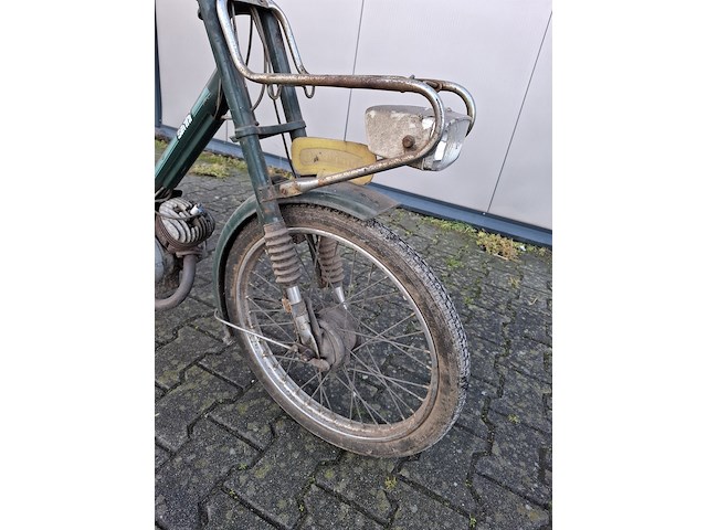 Brommer, berini (gazelle) - afbeelding 4 van  11