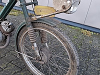 Brommer, berini (gazelle) - afbeelding 4 van  11