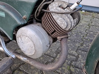 Brommer, berini (gazelle) - afbeelding 5 van  11