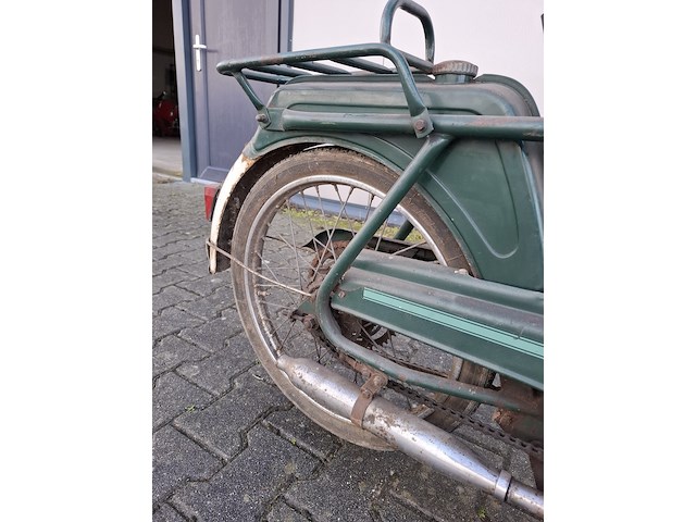 Brommer, berini (gazelle) - afbeelding 7 van  11