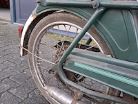 Brommer, berini (gazelle) - afbeelding 7 van  11