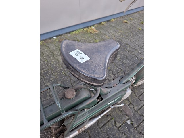 Brommer, berini (gazelle) - afbeelding 9 van  11