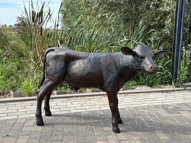 Bronzen kalf 1.30 meter breed - afbeelding 1 van  3