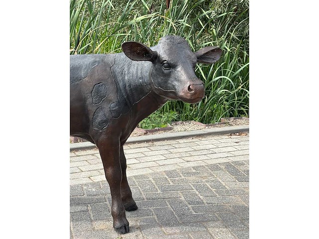 Bronzen kalf 1.30 meter breed - afbeelding 2 van  3