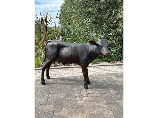 Bronzen kalf 1.30 meter breed - afbeelding 3 van  3