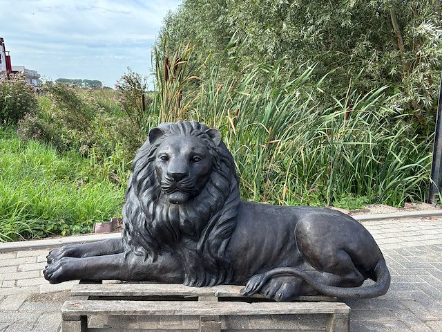 Bronzen leeuw - afbeelding 1 van  2