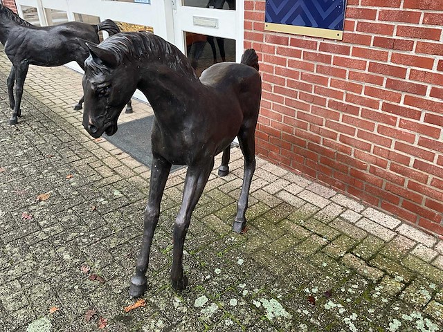 Bronzen paard - afbeelding 1 van  5