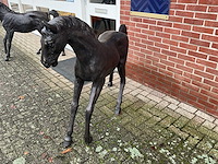 Bronzen paard - afbeelding 1 van  5